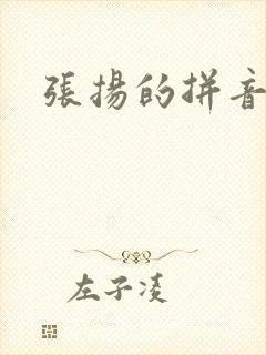 张扬的拼音封面