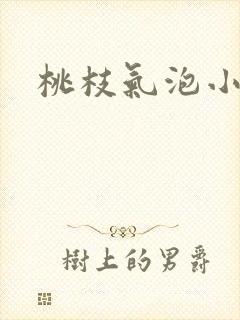 桃枝气泡小说封面