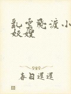 乱云飞渡小说之姣嫂封面