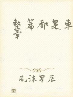 整篇都是车的文章