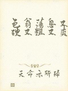 色翁荡息又大又硬又粗又爽电影