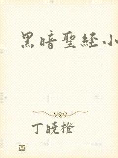 黑暗圣经小说封面