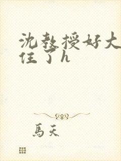 沈教授好大含不住了h