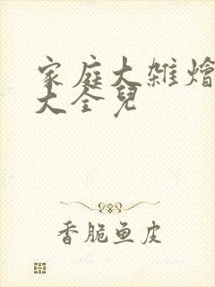 家庭大杂烩小说大全儿
