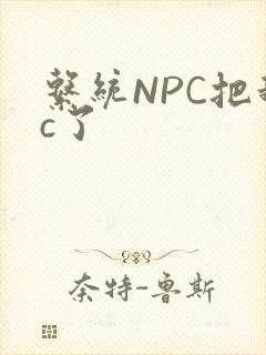 系统NPC把我c了