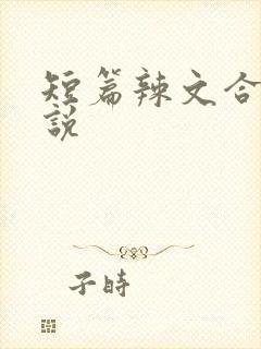 短篇辣文合集小说