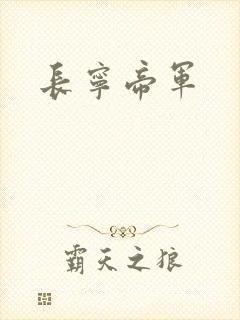 长宁帝军封面