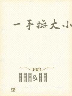 一手抚大小说