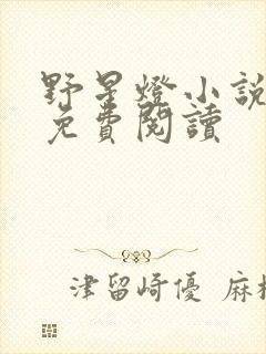 野星灯小说全文免费阅读