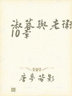 淑蓉与老卫1-10章封面