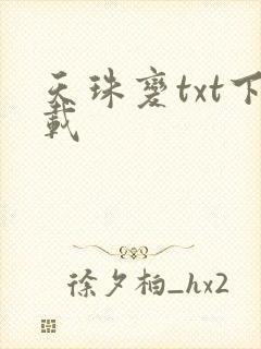 天珠变txt下载封面