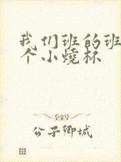 我们班的班花是个小烧杯