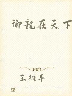 御龙在天下载封面