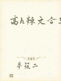 高h辣文合集
