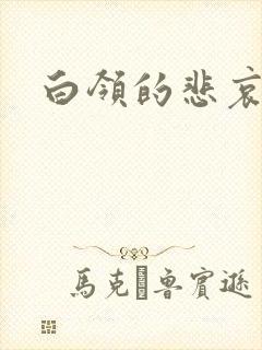 白领的悲哀