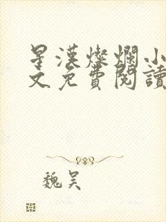 星汉灿烂小说全文免费阅读封面