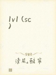1v1 (sc)