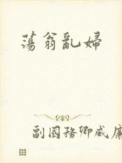 荡翁乱妇封面