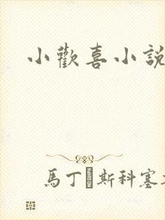 小欢喜小说封面