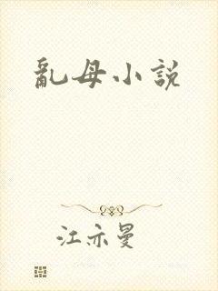 乱母小说