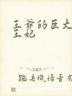 王爷的巨大进入王妃