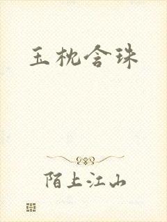 玉枕含珠封面