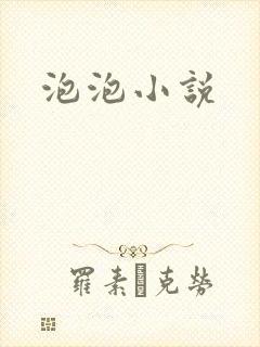 泡泡小说封面