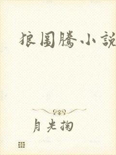狼图腾小说