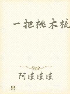 一把桃木梳封面
