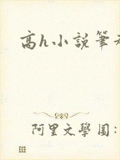 高h小说笔趣阁封面