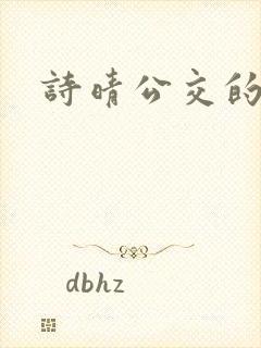 诗晴公交的小说