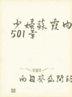 少妇苏霞肉欲第501章封面