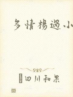 多情杨过小说