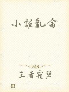 小说乱仑
