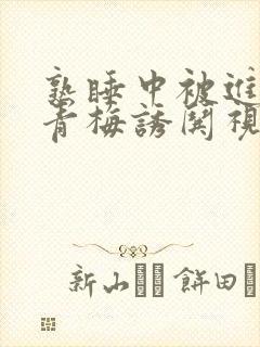 熟睡中被进了H青梅诱哄视频