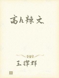 高h辣文封面