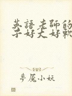 英语老师的小兔子好大好软水