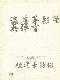 满唐华彩笔趣阁无弹窗封面
