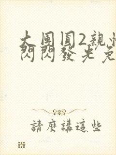 大团圆2亲情会闪闪发光免费