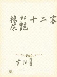 杨门十二寡妇肉床艳