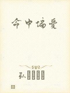 命中偏爱封面