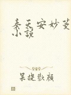 秦天安妙菱修仙小说