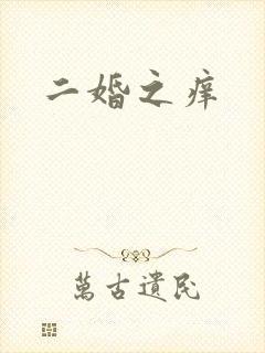 二婚之痒