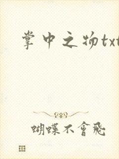 掌中之物txt