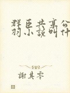 群臣共享公主银羽小说叫什么