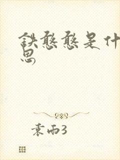 铁憨憨是什么意思封面