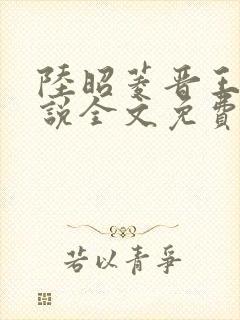 陆昭菱晋王的小说全文免费阅读