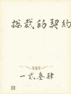 总裁的契约情人