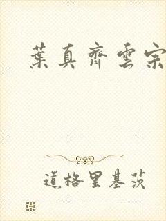 叶真齐云宗免费
