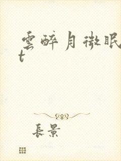 云醉月微眠txt